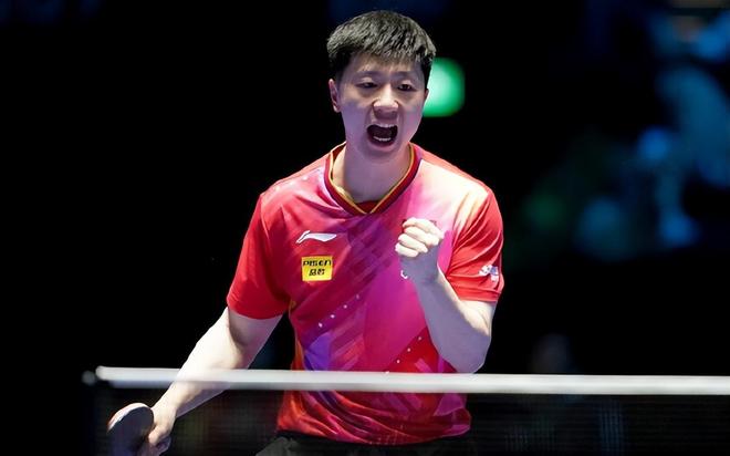 技术全面的 技术全面的